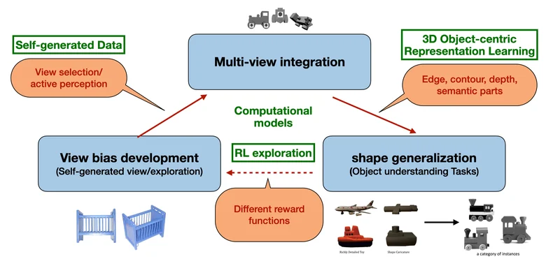Overview of active multiview learning through self-generated visual experience